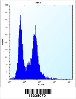 PI15 Antibody (N-term)