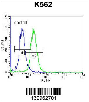 FSHB/FSH Antibody (Center)