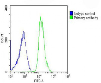 PREX1 Antibody (C-term)