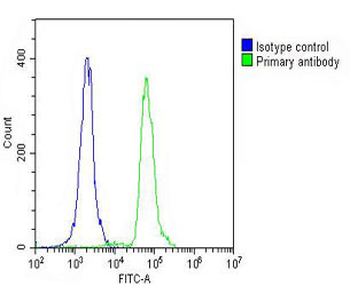 MDM2 Antibody (S166)