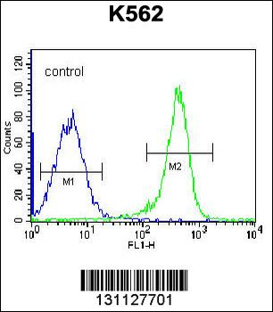 PSTPIP1 Antibody (N-term)