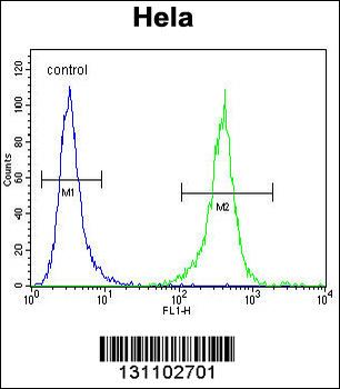DNAJB6 Antibody (Center)