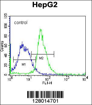 APG8b(MAP1LC3B) Antibody (N-term T29)