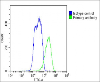 FADS2 Antibody (N-term)