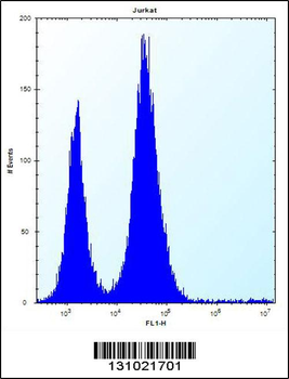 RBL2 Antibody (N-term)