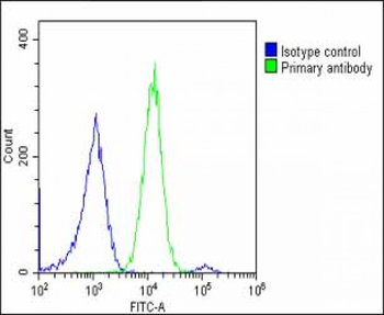 RBL2 Antibody (N-term)