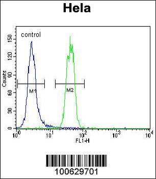 SUMO1 Antibody (N-term)