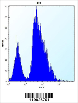 VSNL1 Antibody (Center)