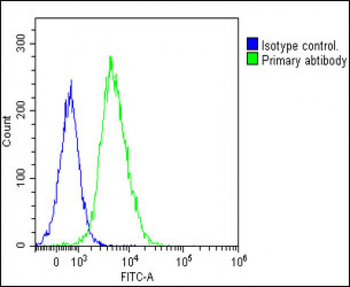 TCRB Antibody (Center)