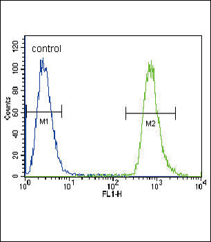 NEU2 Antibody (N-term)