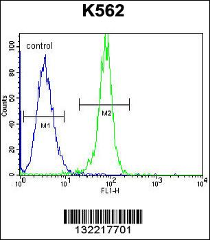 STUB1 Antibody (C-term)