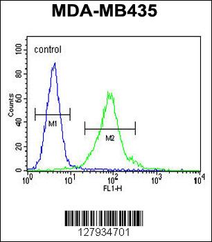 MeCP2 Antibody (N-term S80)