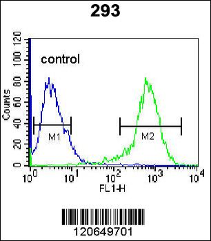 CDK8 Antibody (Center)