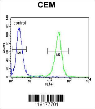 MSI1 Antibody (N-term)