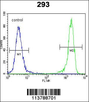 DDIT3 Antibody (C-term A135)