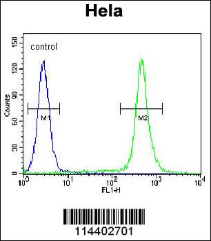 MIC1 Antibody (N-term)