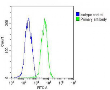 ID1 Antibody (Center)