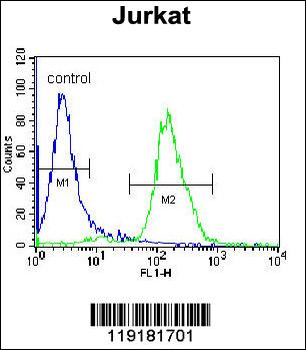 JAZF1 Antibody (N-term)