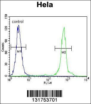 UQCRFS1 Antibody (C-term)