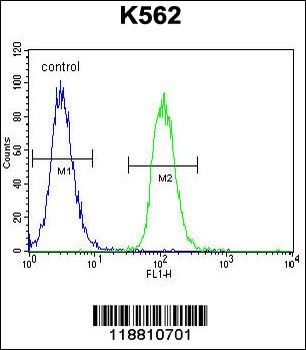 MITF Antibody (N-term)