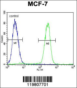 RACGAP1 Antibody (N-term)