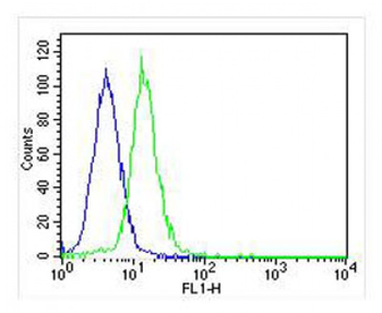 JMJD2C Antibody (C-term)