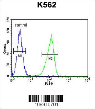 CRFR1 Antibody (Q103)