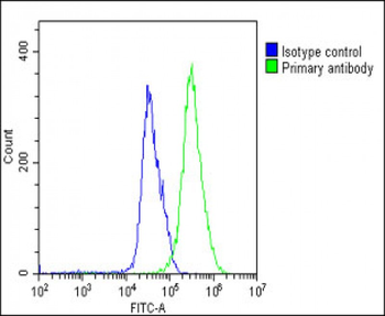 AP1M1 Antibody (Center)