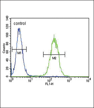 CYP11B2 Antibody (Center)