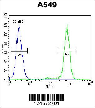 ANAPC5 Antibody (Center)