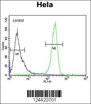 DTL Antibody (Center)