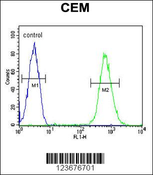 CD37 Antibody (Center)