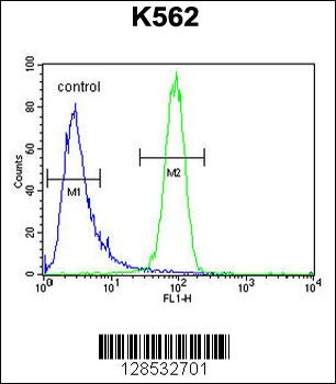 MCHR1 Antibody (C-term)