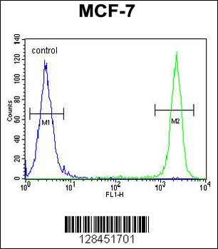 SEL1L Antibody (Center)