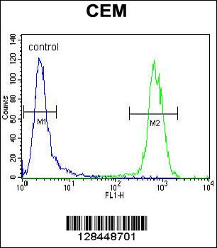PON1 Antibody (Center)
