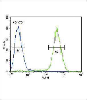 CB2 Antibody (C-term)
