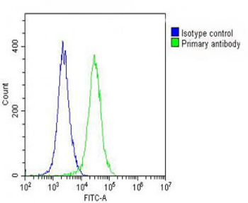 ARV1 Antibody (N-term)
