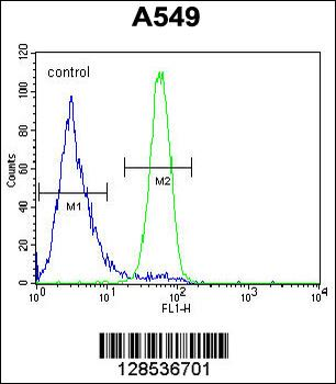 FSTL1 Antibody (C-term)
