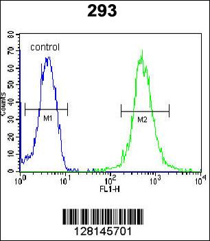 WDR48 Antibody (C-term)