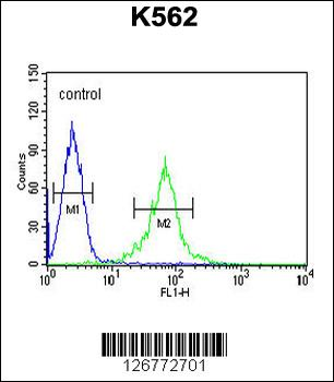 GAS2L1 Antibody (C-term)