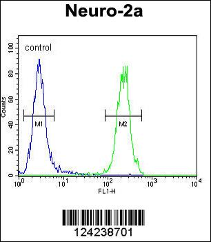 MAF1 Antibody (Center)