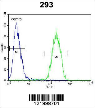 TNFRSF6B Antibody (N-term)