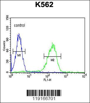APOL6 Antibody (Center)