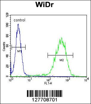 CHCHD2 Antibody (Center)