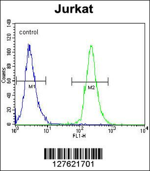 POTEB Antibody (C-term)