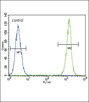 ACTA1 Antibody