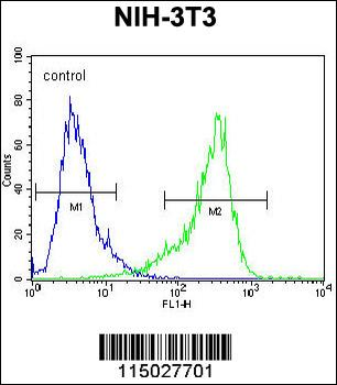 CYP26A1 Antibody (C-term)