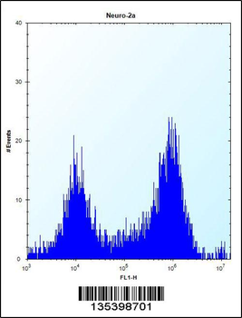 Mouse Csnk1a1 Antibody (C-term)