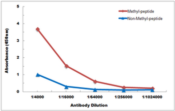 Histone H3 (MonoMethyl-K56) Antibody