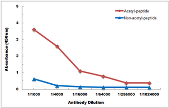 Histone H3 (AcK4) Antibody